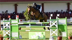 Equitation