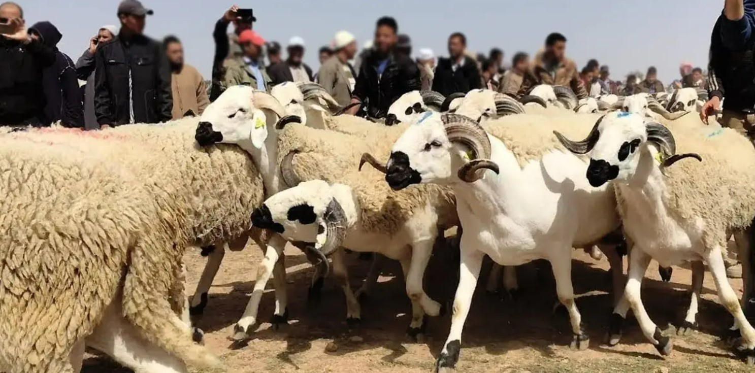 Aïd Al Adha.
