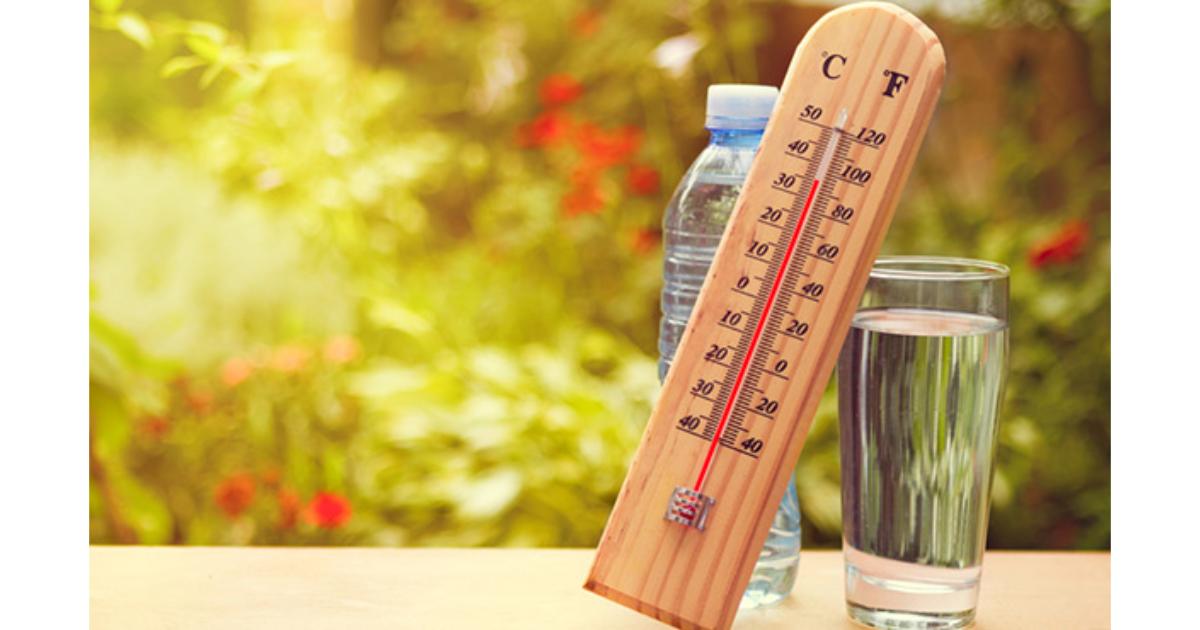 météo, prévisions météorologiques, météorologie, Direction générale de la météorologie, alerte météo, vague de chaleur, canicule, Fortes pluies, chutes de neige , temps froid 