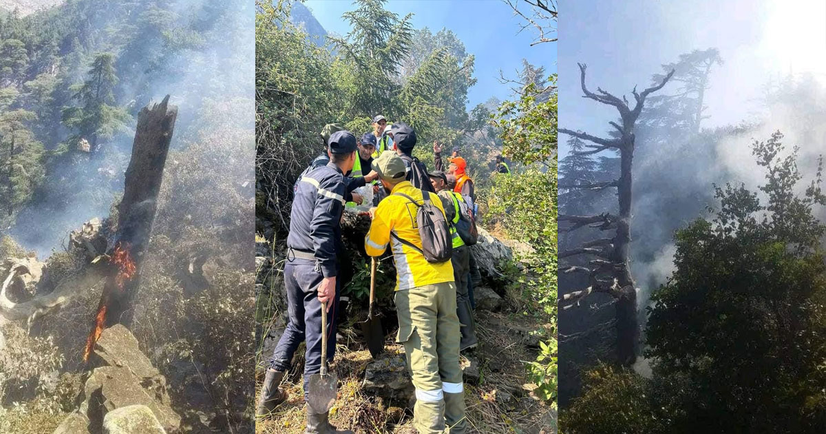 Chefchaouen : la forêt du mont Tiziran ravagée par les feux de forêt