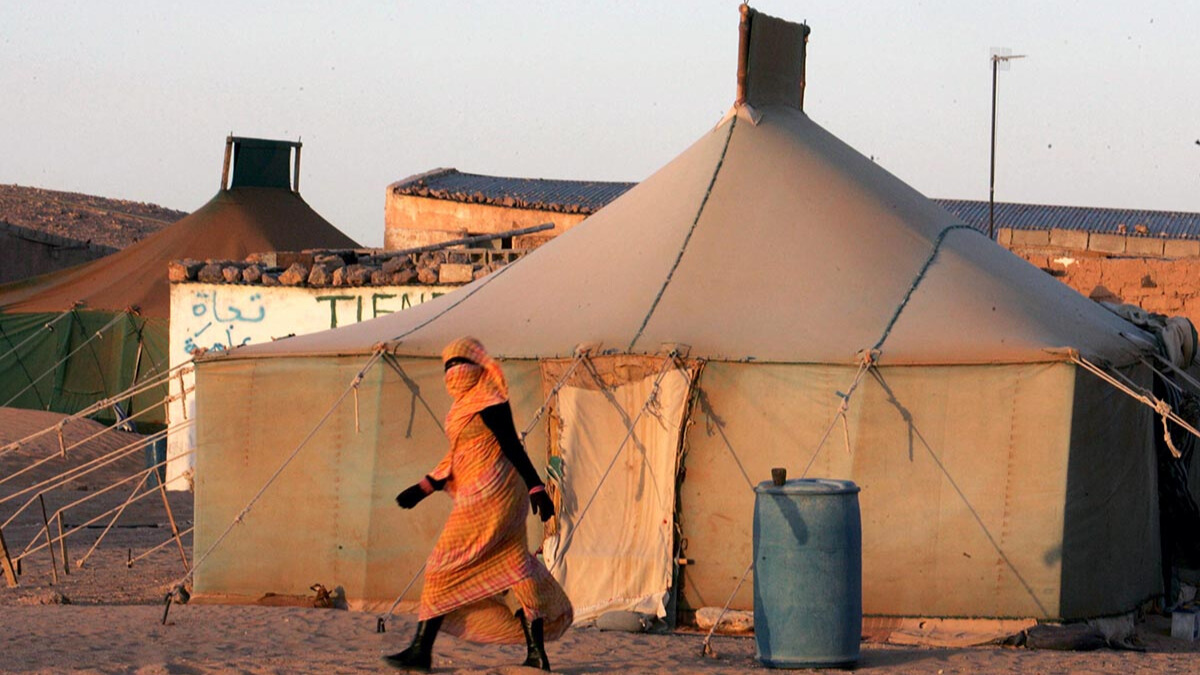 tindouf camps