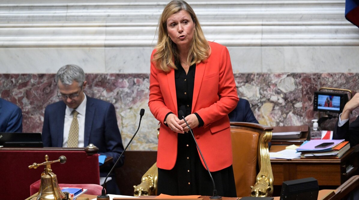 france parliament politics vote