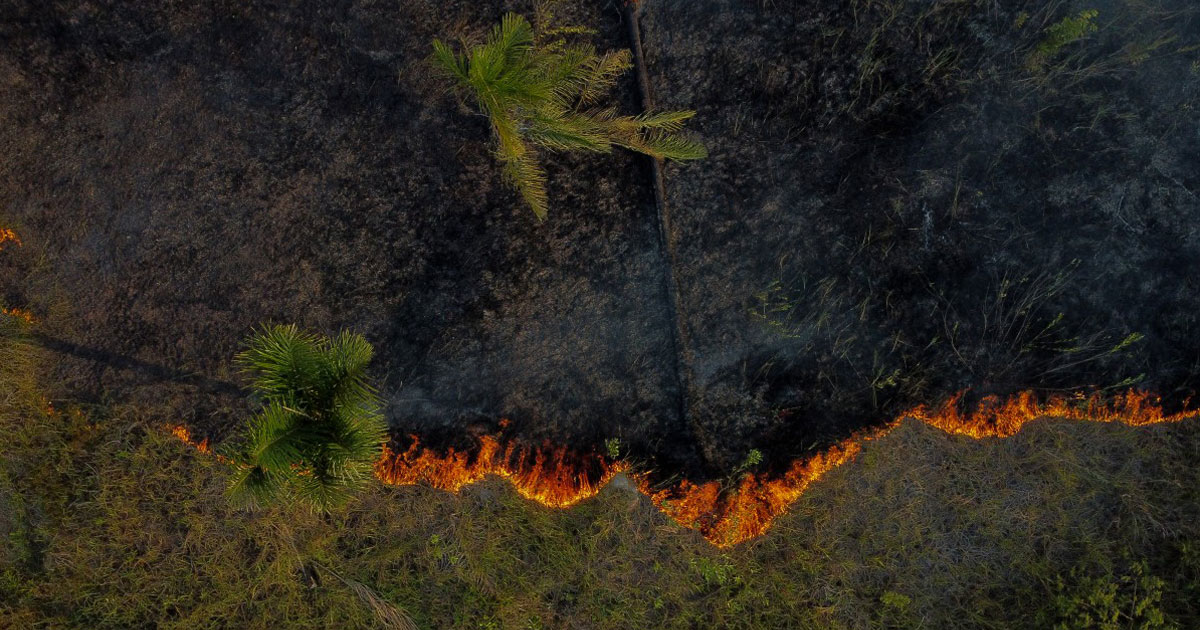 Le Brésil a enregistré 13.489 foyers d'incendie au premier semestre en Amazonie