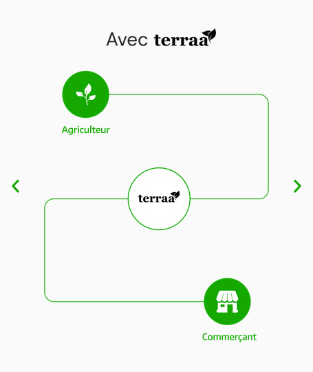 screenshot 2024 07 08 at 15 49 25 terraa