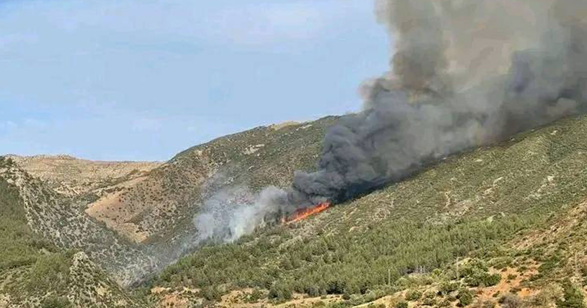 Taza : un feu de forêt détruit pas moins de 25 ha de couvert forestier