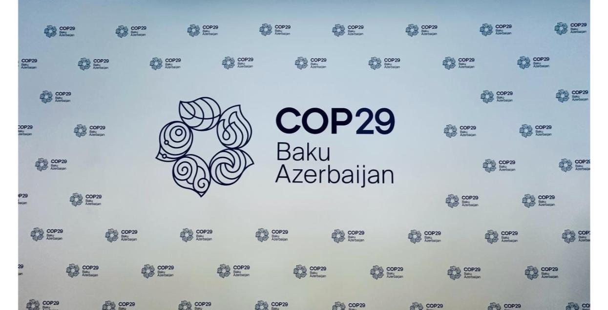 COP 29
