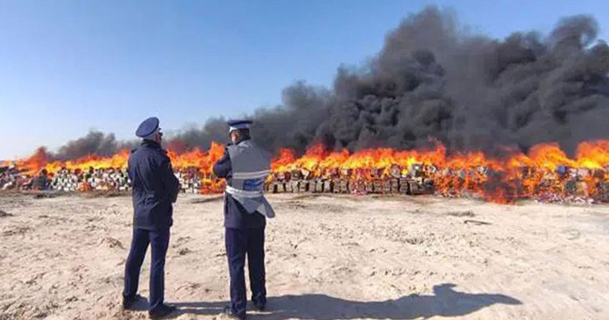 Essaouira: Incinération de plus de 10 tonnes de Chira