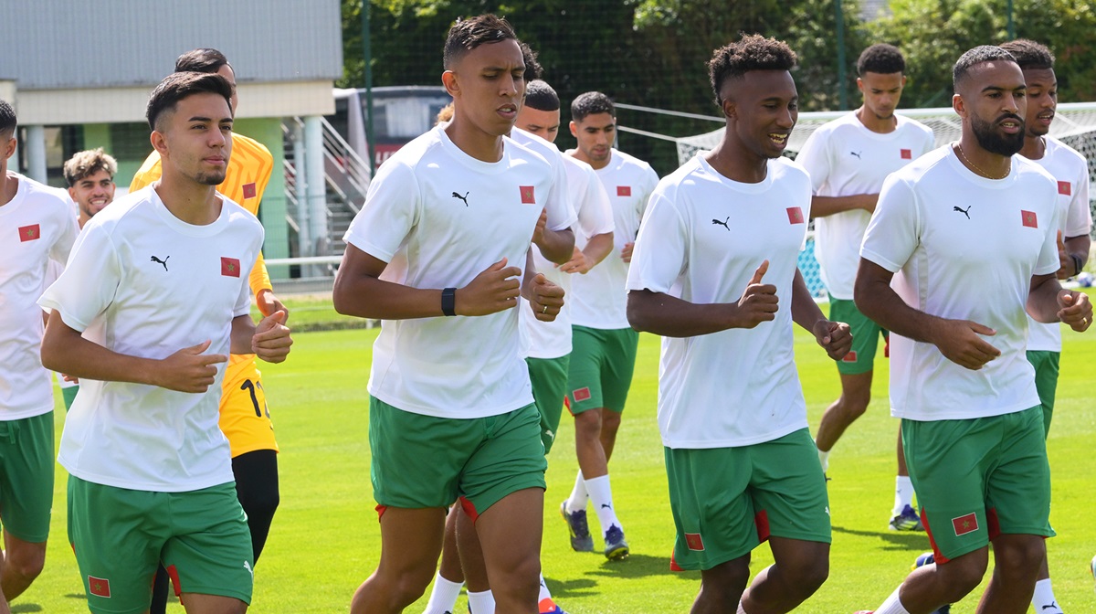 lionceaux entrainement