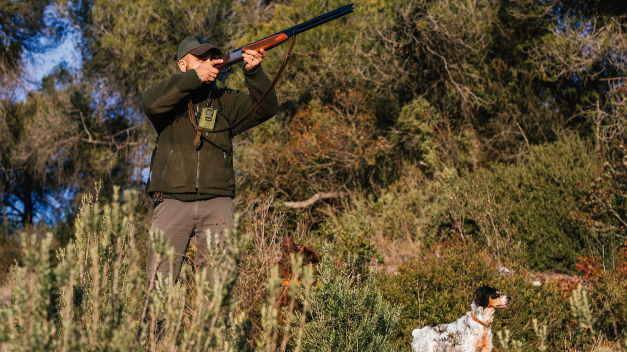 chasse maroc (2)