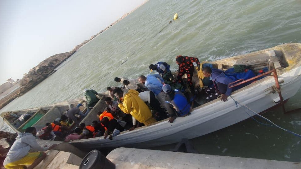 migrants marine royale (2)