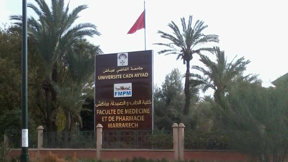 université cadi ayyad