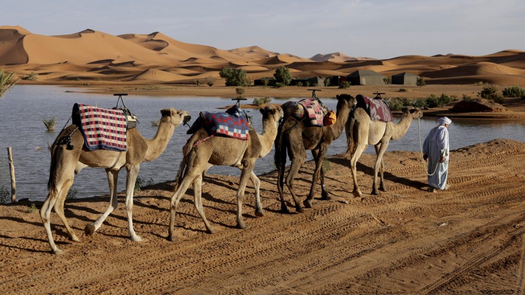 lacs asseches merzouga desert maroc2 (2)