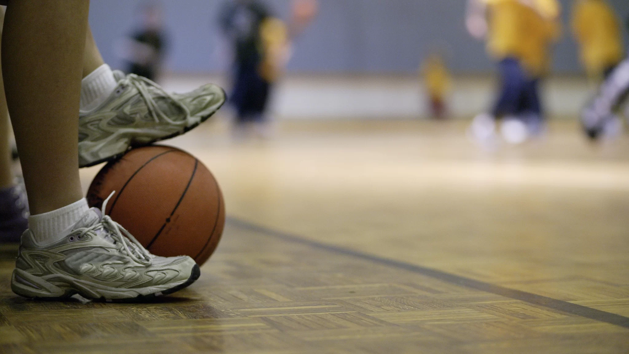 basketball sport etudiant processus plainte rseq