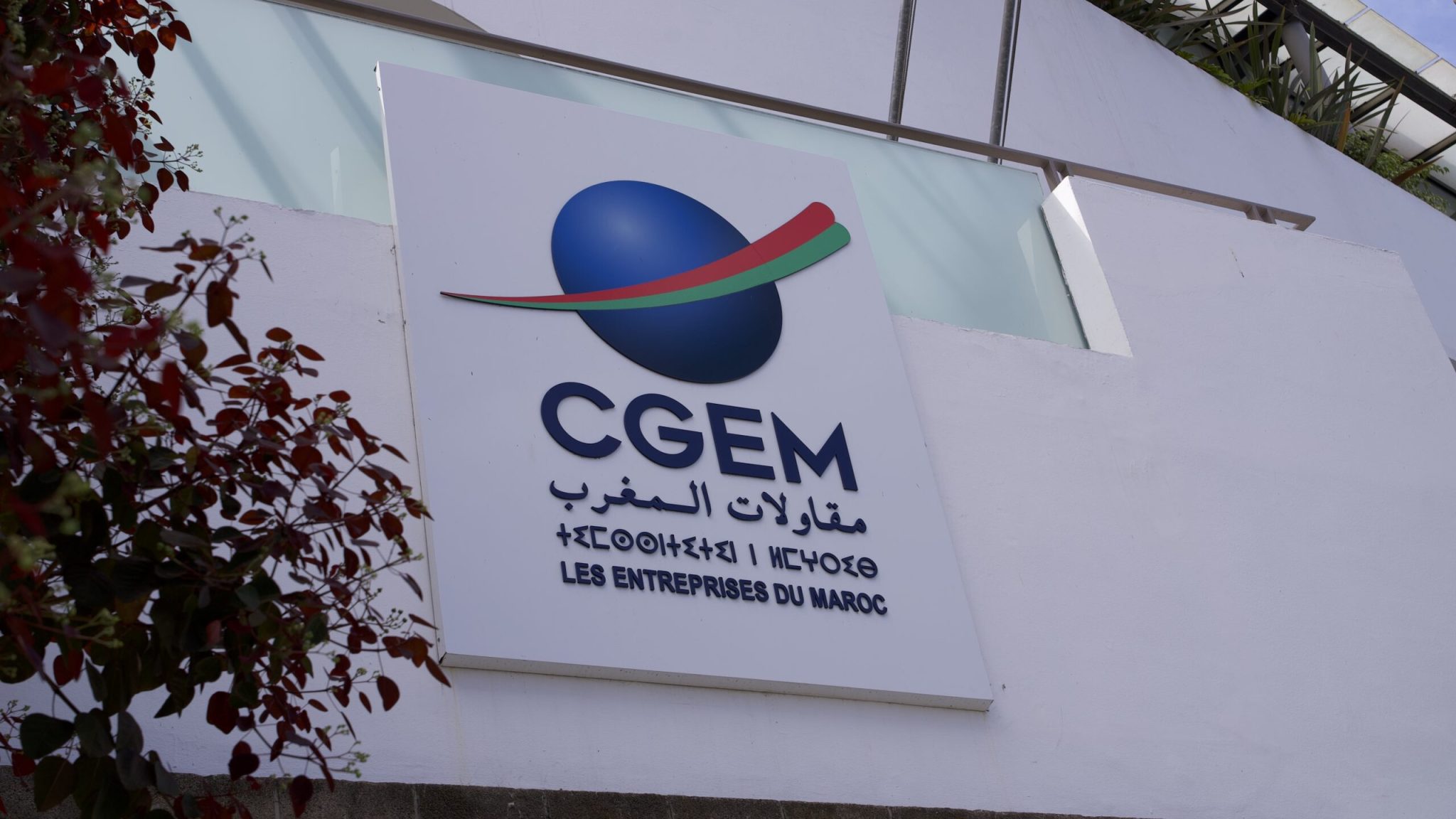 logo cgem