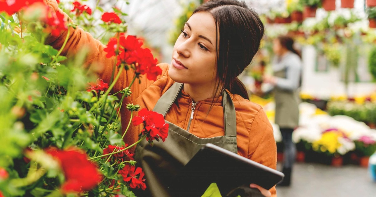 fleurs fleuriste