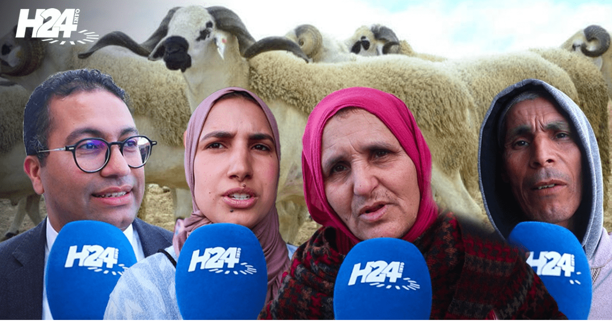 annulation de l'aïd al adha maroc