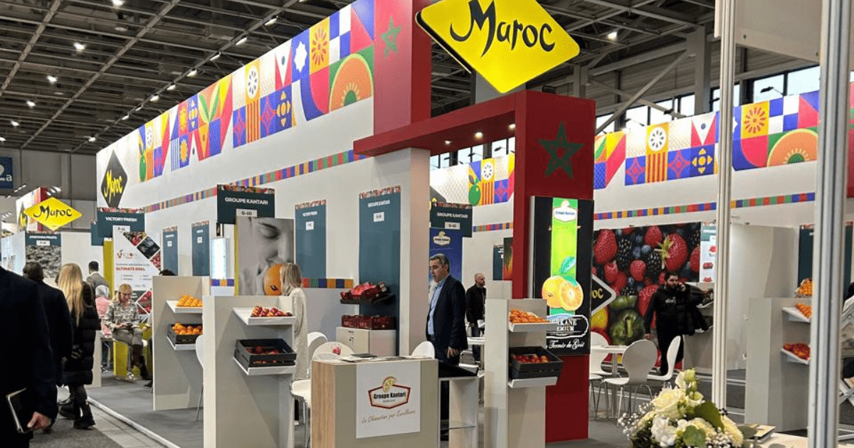 maroc fruit logistica allemagne