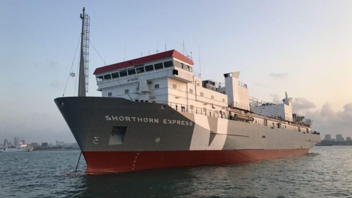 shorthorn express navire