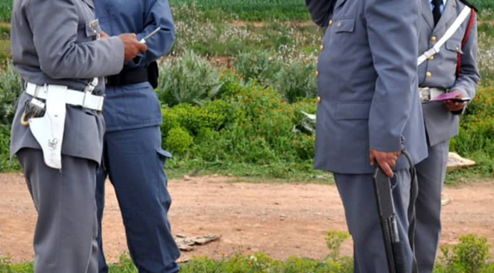 gendarmes