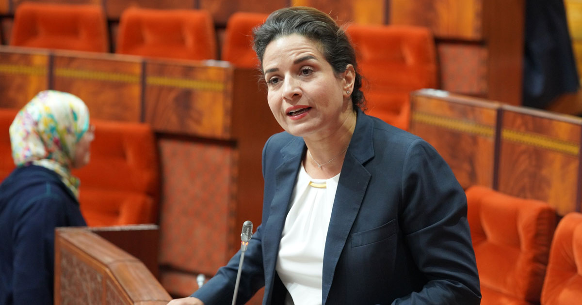 Vers un appel à manifestation d’intérêt pour le raccordement du réseau gazier national au Gazoduc africain atlantique