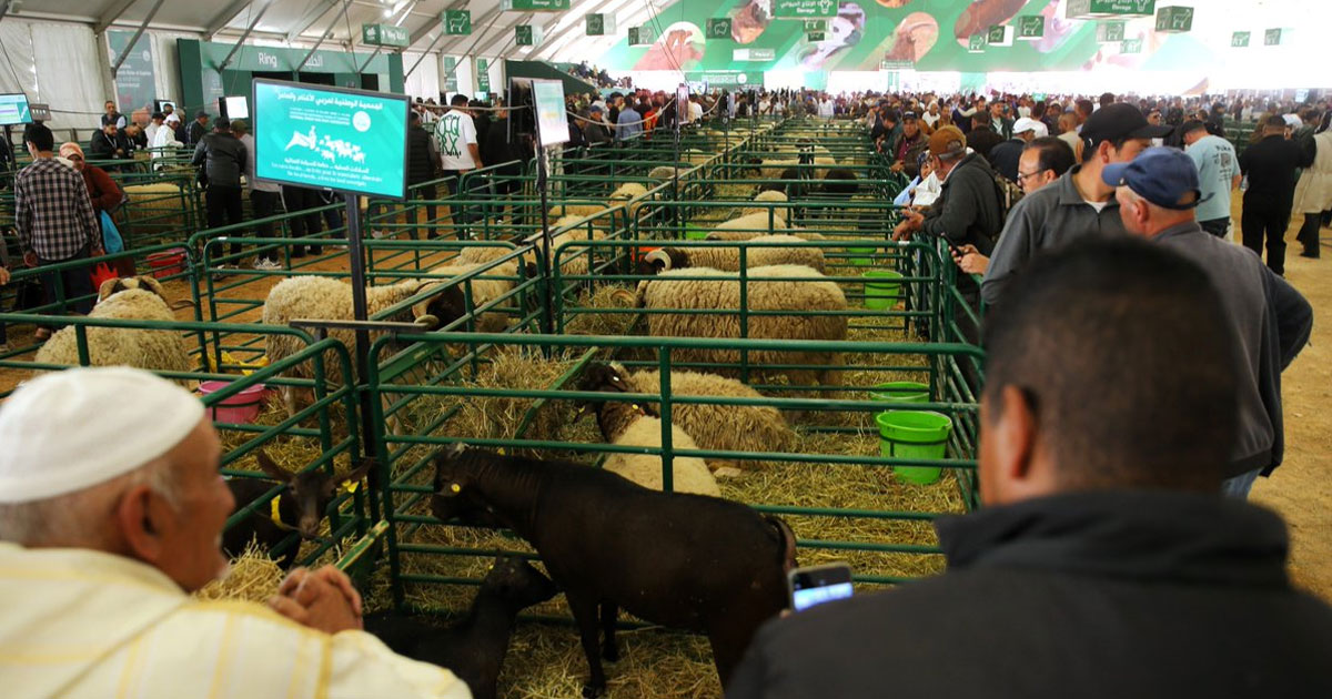 SIAM 2025: plus d'un million de visiteurs et une mobilisation record pour l'agriculture durable
