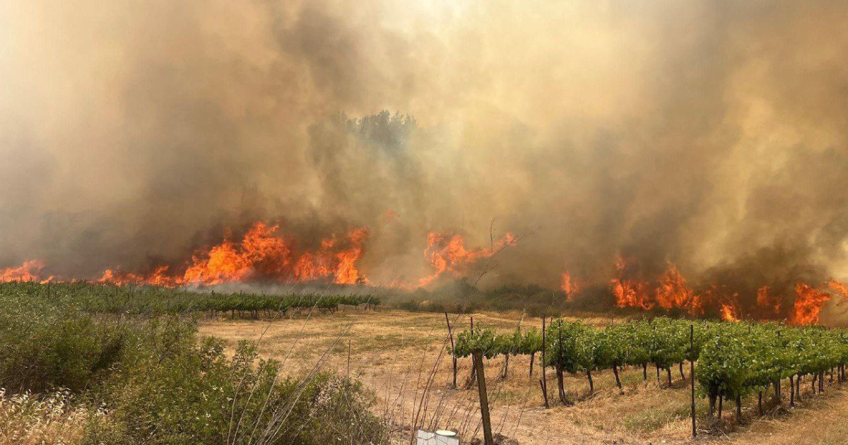 incendies jérusalem