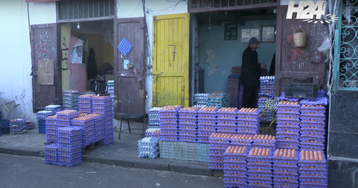 vendeurs d'oeufs casablanca