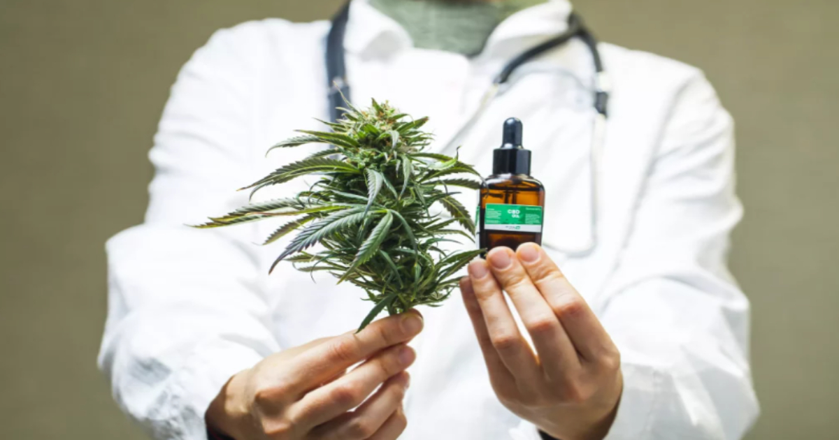 Cannabis thérapeutique