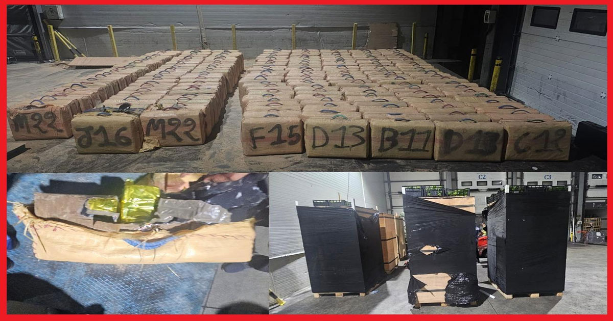 7 tonnes de résine de cannabis interceptées au Tanger Med