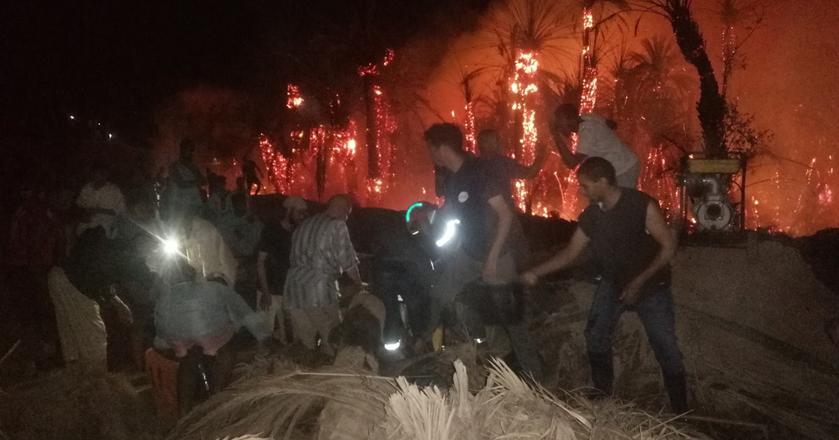 incendie palmiers oasis afra tata