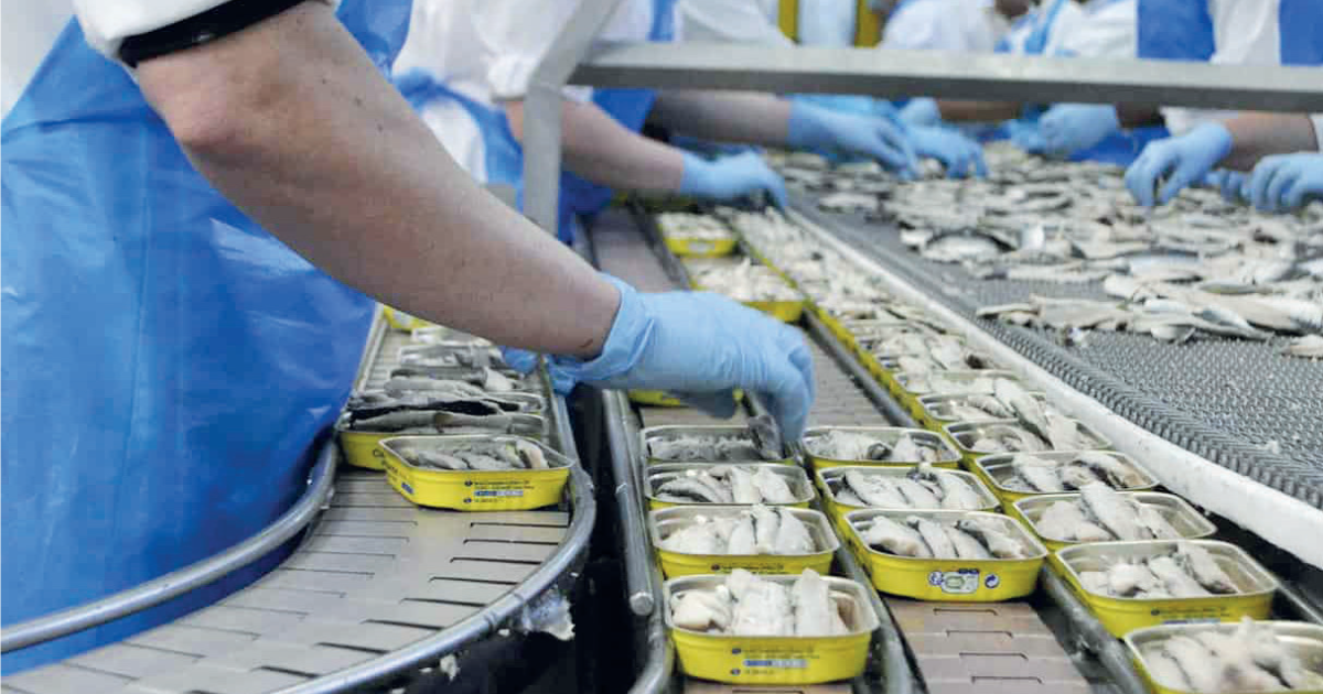 industrie de la conserve de poisson