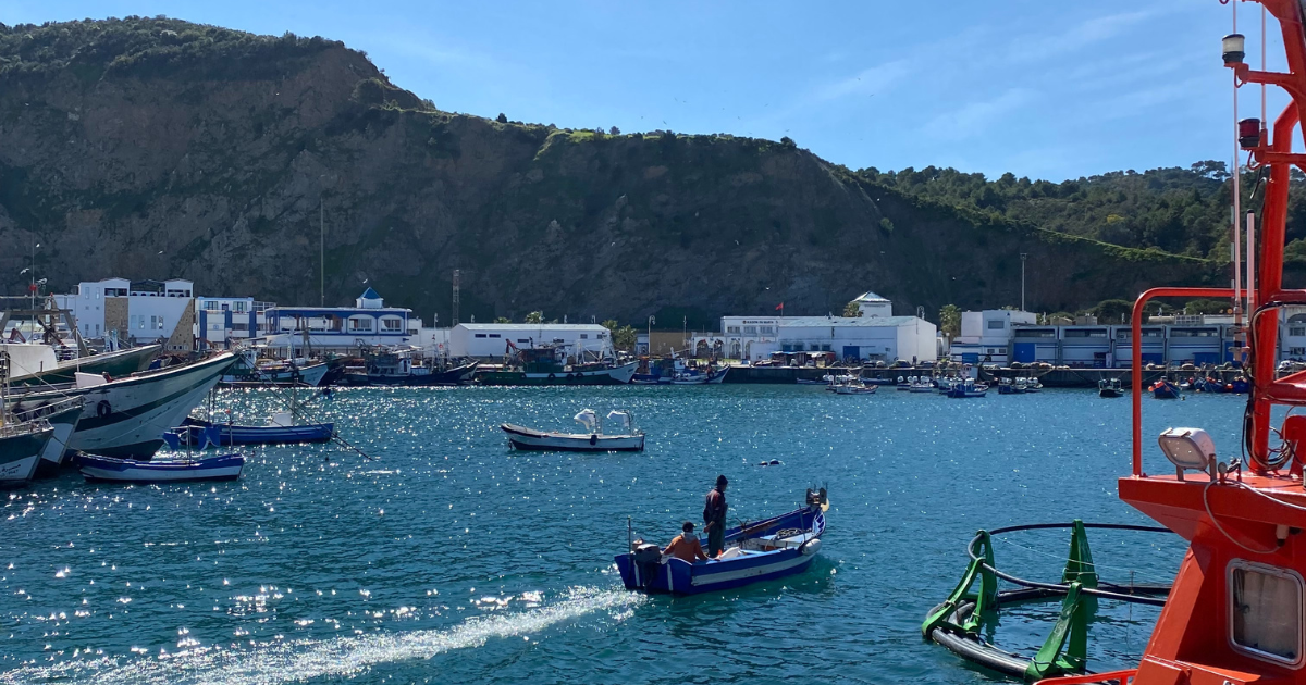 port de mdiq économie bleue