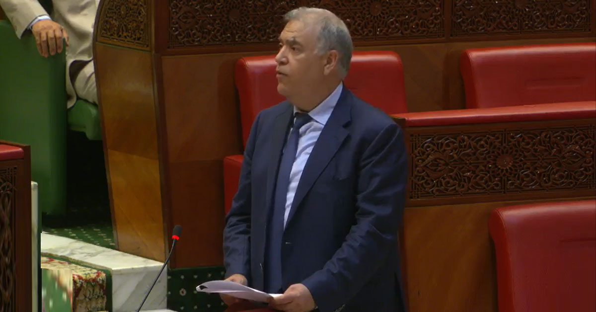 Chiens errants: l’Intérieur dénonce des campagnes hostiles contre le Maroc à l’approche des événements sportifs