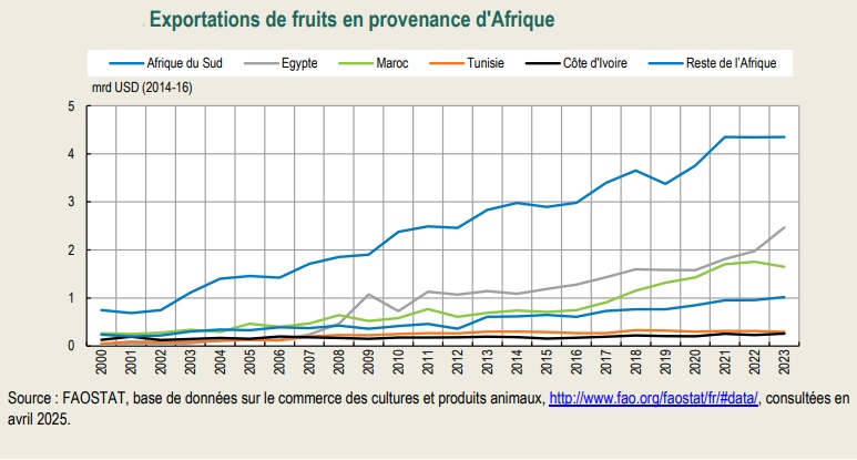 agriculture marocaine, agriculture, FAO,
