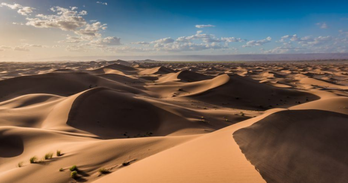 désert marocain