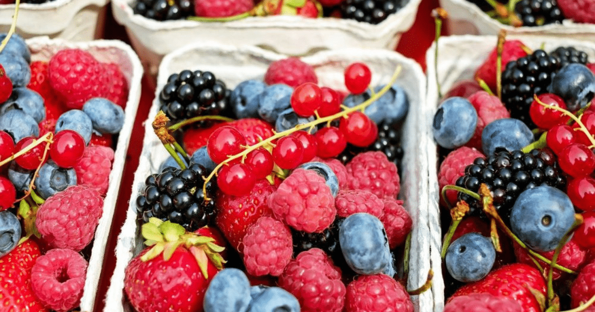 l'agriculture marocaine , fruits, , agriculture moderne, FAO Agricultural Outlook, 