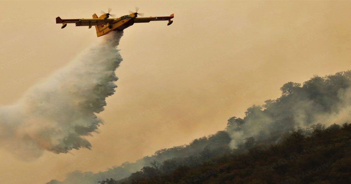 Chefchaouen: l’incendie de la forêt de Derdara officiellement circonscrit
