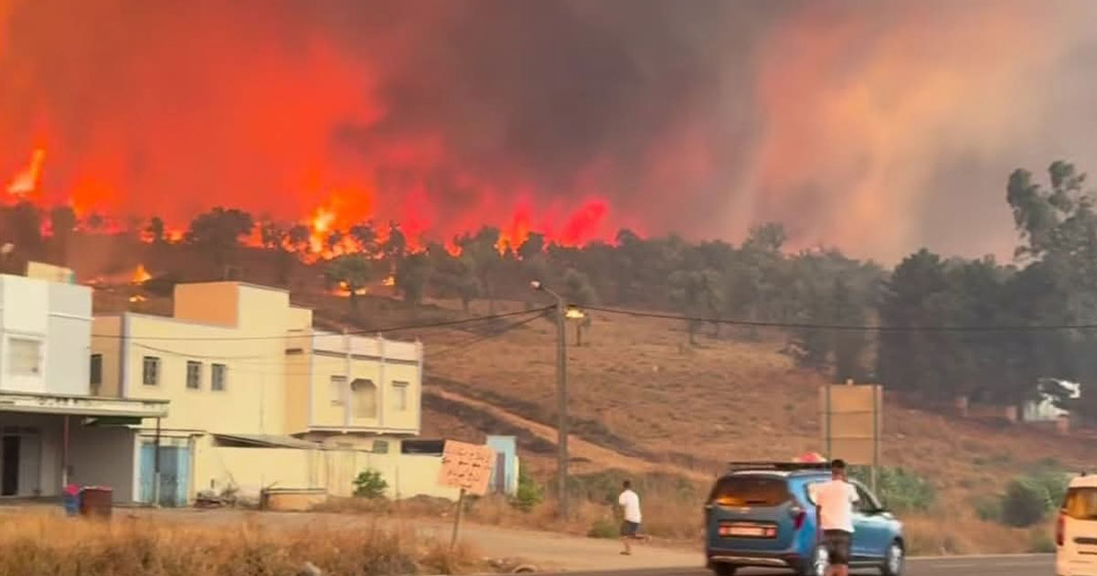 Chefchaouen: un homme arrêté pour son implication présumée dans le feu de forêt à Bab Taza