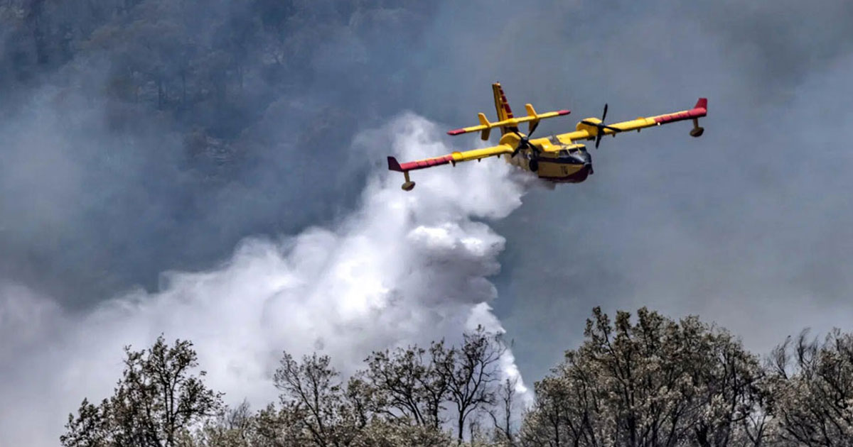 Deux incendies ravagent les forêts de Chefchaouen : intervention aérienne d’urgence des Canadair