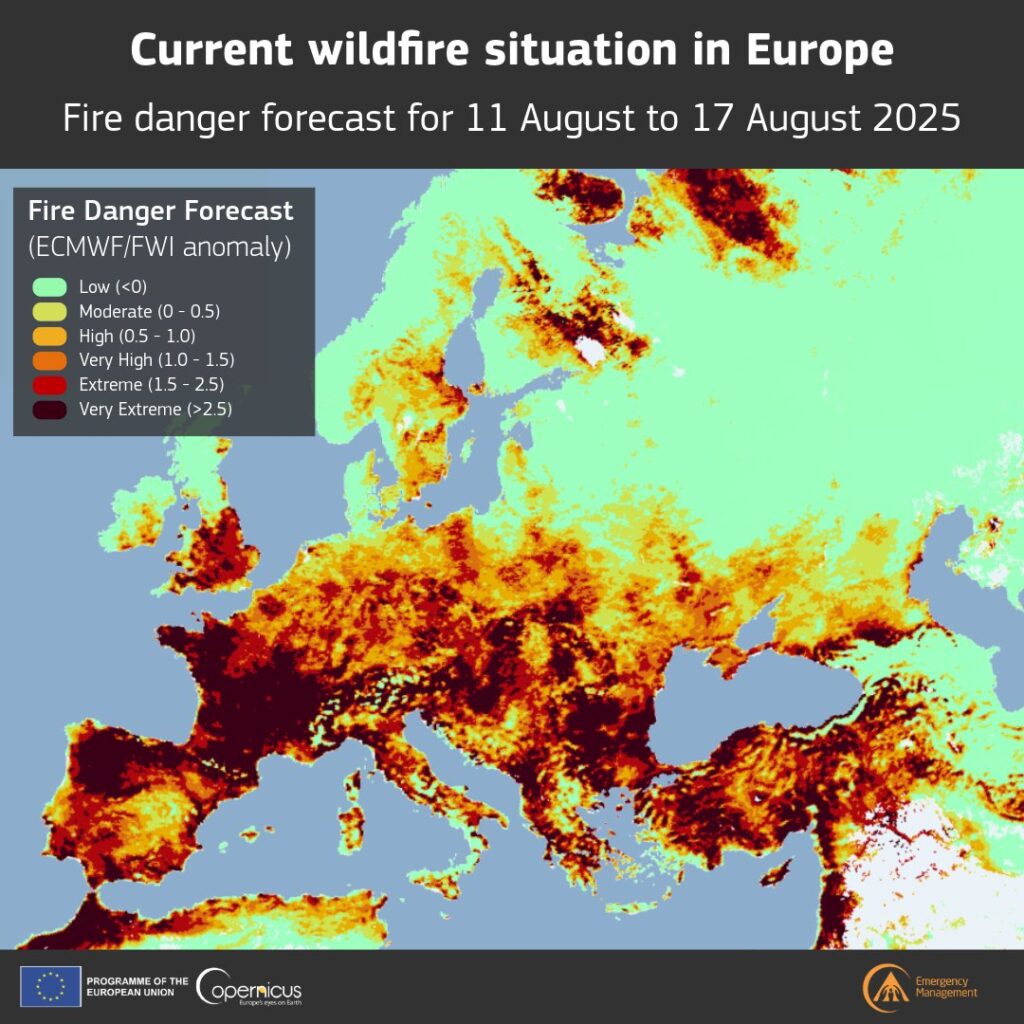 Prévisions de risque d'incendie Copernicus