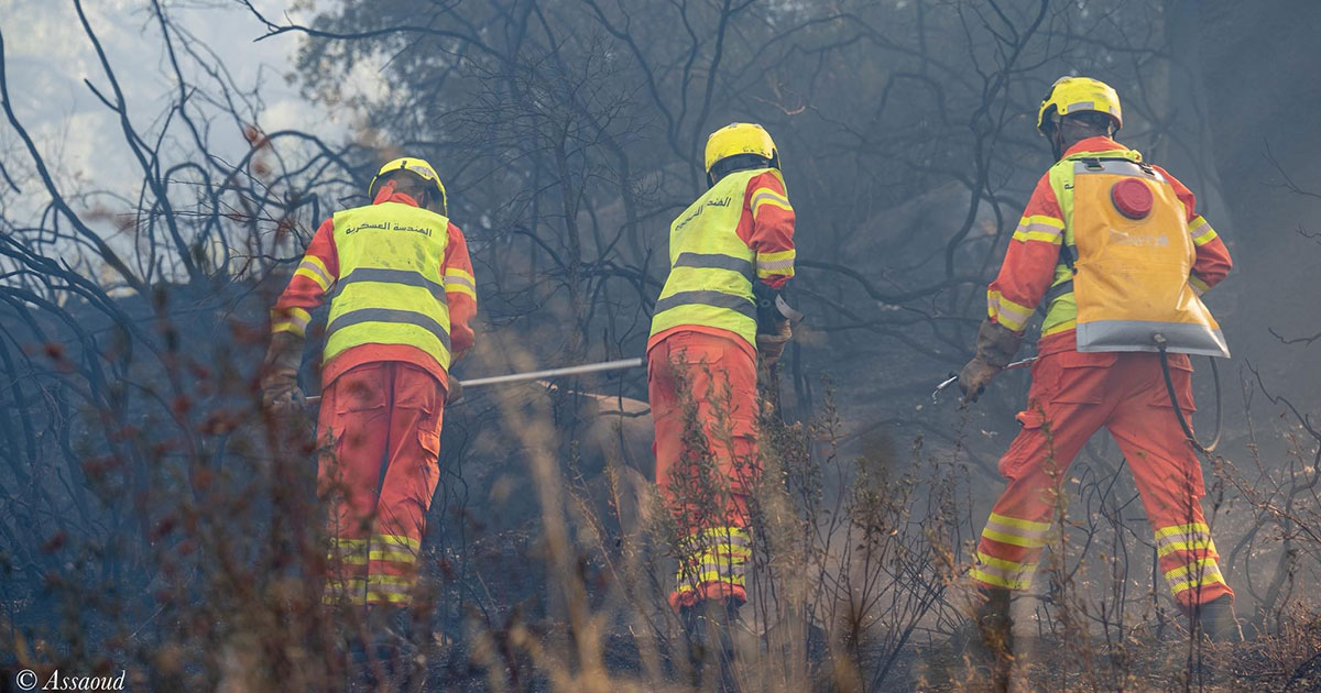 Chefchaouen: poursuite des opérations pour venir à bout des feux de forêts