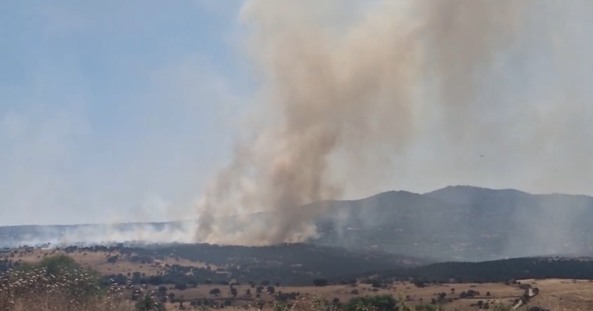 Incendie au parc régional de la Cuenca Alta del Manzanares, aux abords de Colmenar Viejo