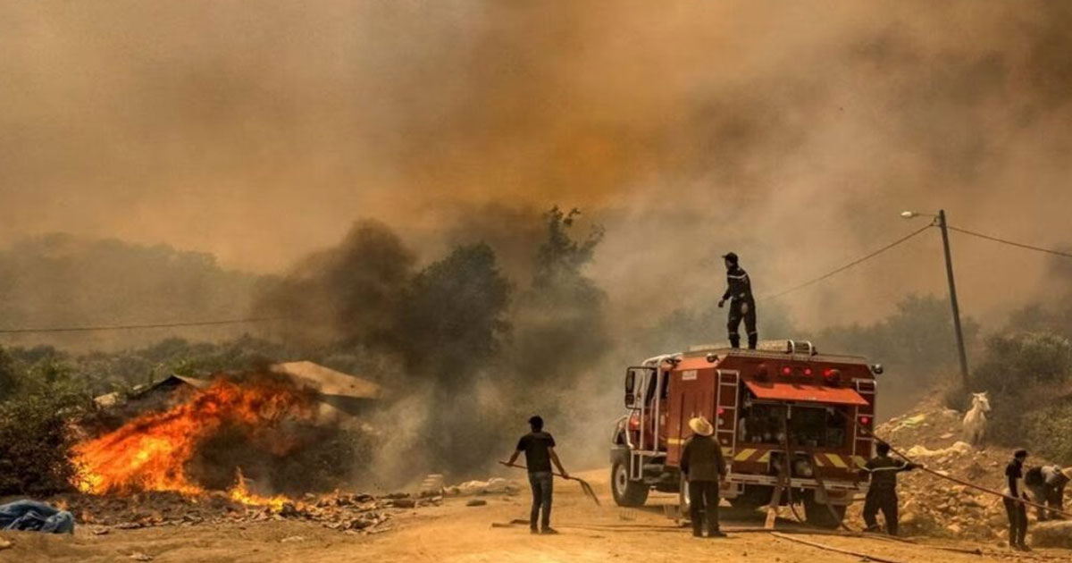 Un incendie dévastateur à Biougra cause la mort d’une vingtaine de têtes de bétail