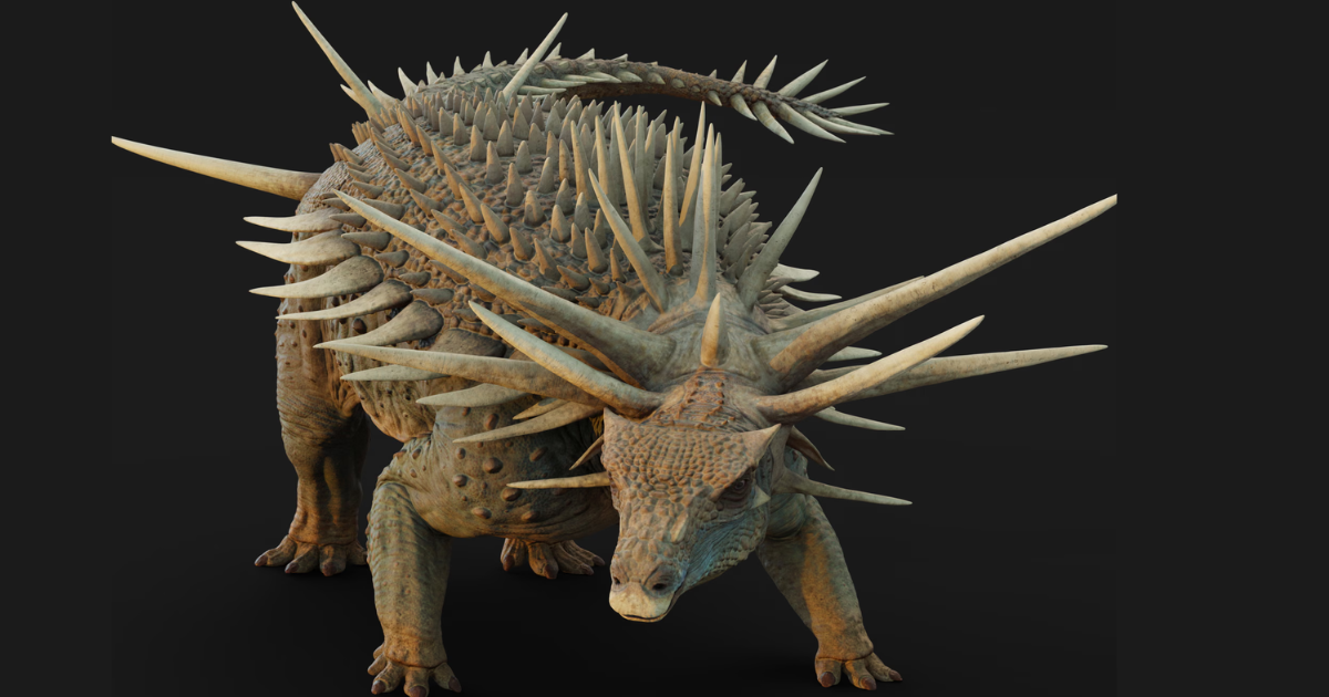 Spicomellus afer 2