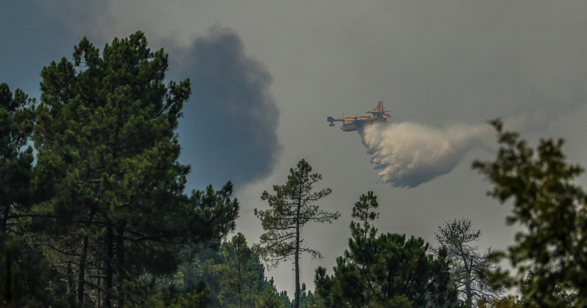 canadair incendie portugal