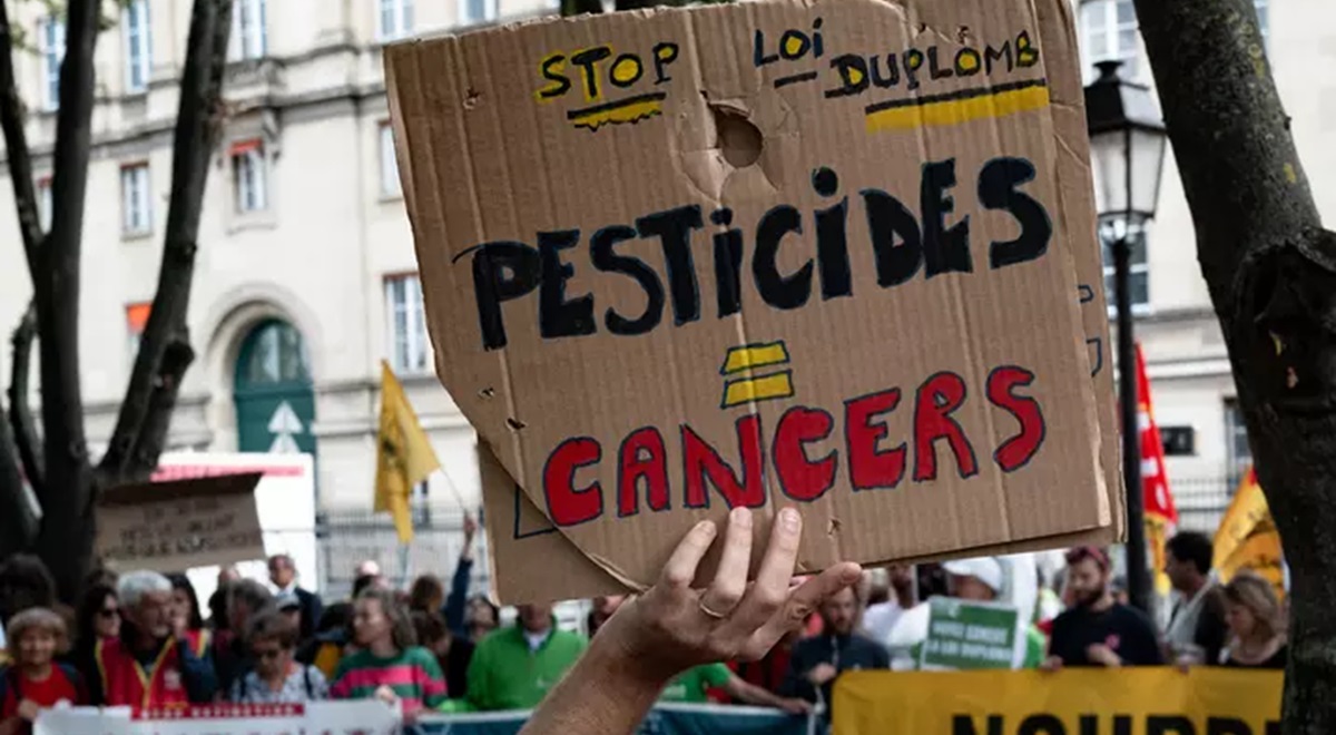 France, conseil constitutionnel, pesticides,