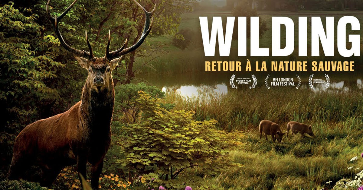 Chefchaouen: "Wilding" triomphe au Festival international des films d’environnement