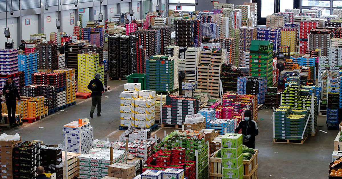 Commerce de gros : les grossistes misent sur une stabilité des ventes au 3e trimestre