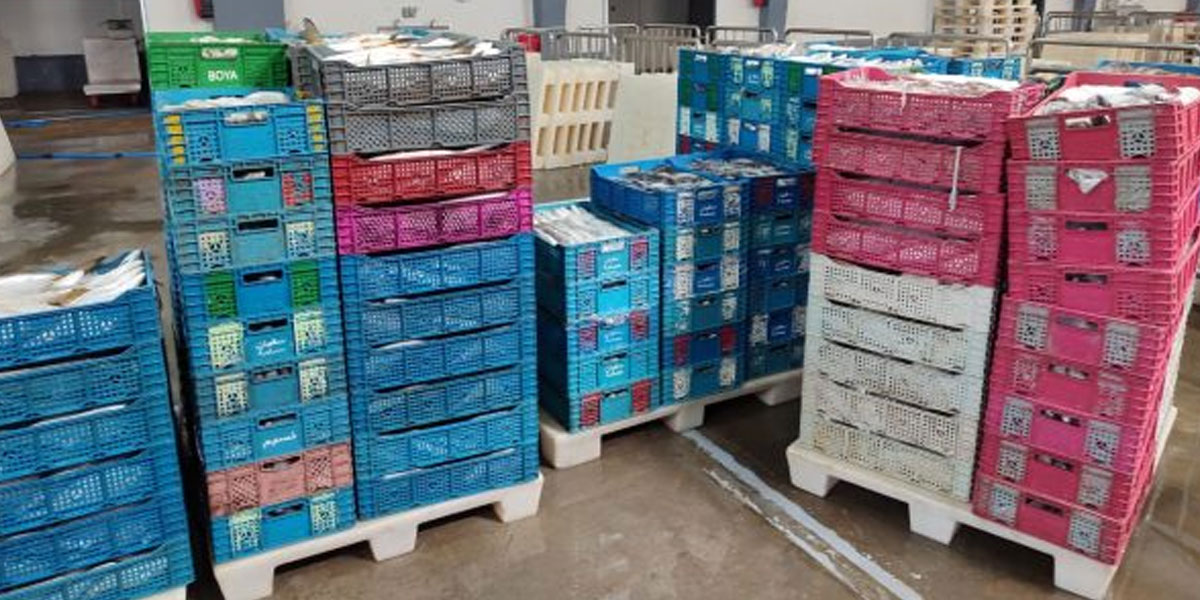 Trafic de poissons à Dakhla : une cargaison de 6,8 tonnes interceptée par la police