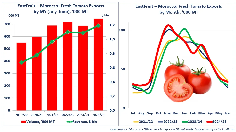 Evolution des exportations de tomates marocaines